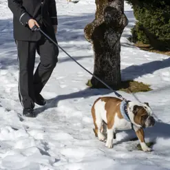 Copyright Gstaad Palace Stefano Scata Leonardo Golzato DSC 3051 Favourite 300Dpi RGB