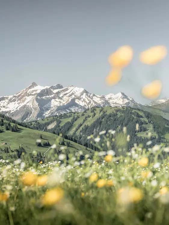 Gstaad Palace Luxury Hotel Switzerland Summer Hiking 26 72Dpi