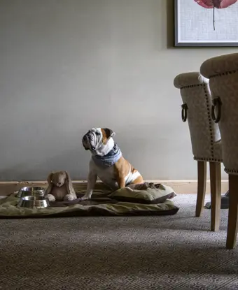 Copyright Gstaad Palace Stefano Scata 541886 Favourite 300Dpi RGB