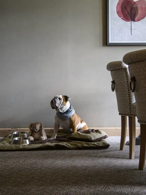 Copyright Gstaad Palace Stefano Scata 541886 Favourite 300Dpi RGB