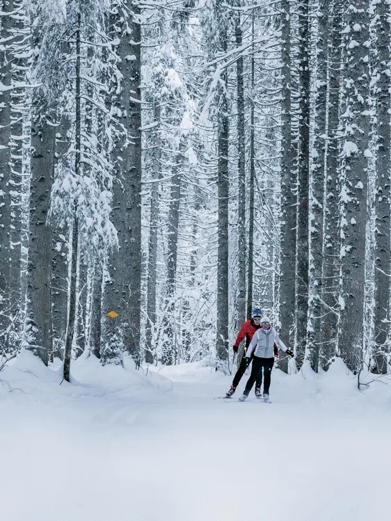 Gstaad Palace Luxury Hotel Switzerland Winter Cross Country Skiing 4 240Dpi