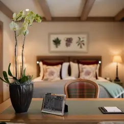 ©Melanieuhkötter GP Juniorsuite DSC 8406 250617 High