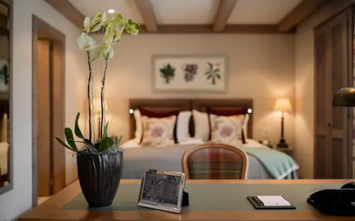 ©Melanieuhkötter GP Juniorsuite DSC 8406 250617 High