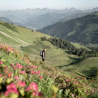 Gstaad Palace Luxury Hotel Switzerland Summer Hiking 9 240Dpi