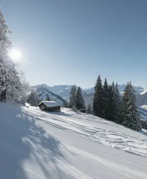 Gstaad Redaktionell Ski 05