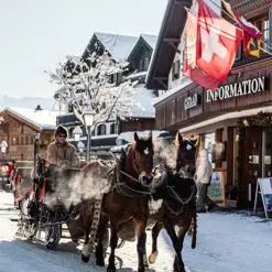 Mell GSTAADWINTER 23