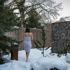 Gstaad Palace Luxury Hotel Switzerland Winter 548300