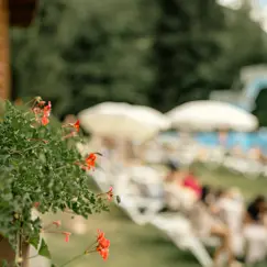 Copyright Gstaad Palace «PISCINE» 26 72 Dpi