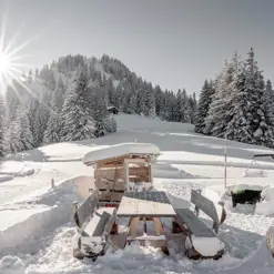 Gstaad Palace Luxury Hotel Switzerland Winter Horneggli Fireplace Winter 240Dpi